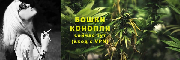 спайс Баксан