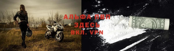 спайс Баксан