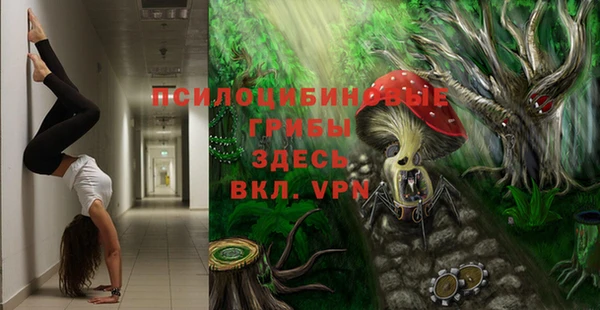 гидра Балабаново