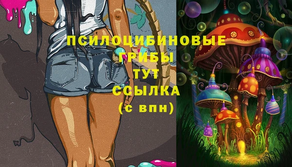 ALPHA PVP Армянск