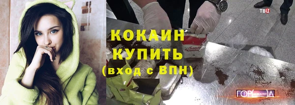 крисы Аркадак